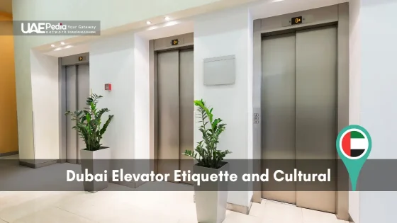 Minimalist elevator area in Dubai with closed doors and indoor plants.