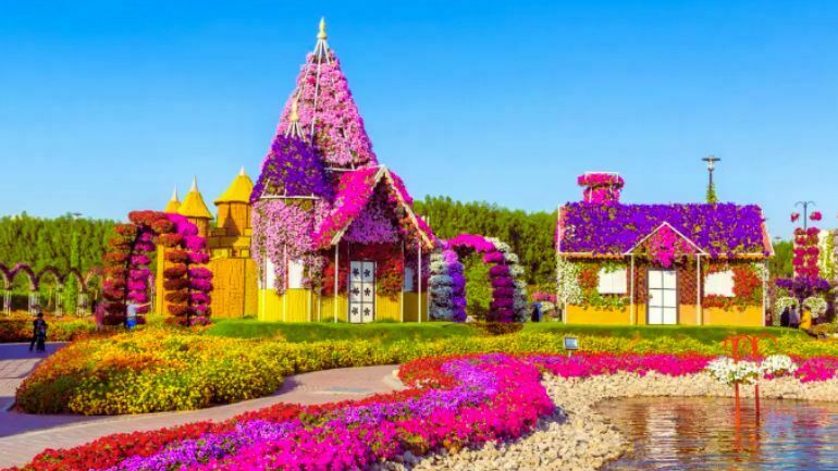 Dubai Miracle Garden; with many colorful flowers