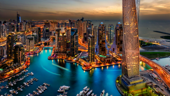 تاريخ تطور دولة الإمارات تشتمل على العديد من المتغيرات الاقتصادية التي كانت السبب الأكبر وراء تقدم وازدهار دولة الإمارات في الآونة الأخيرة.