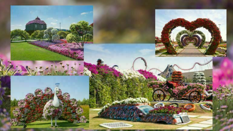 attractions Dubai Miracle Garden