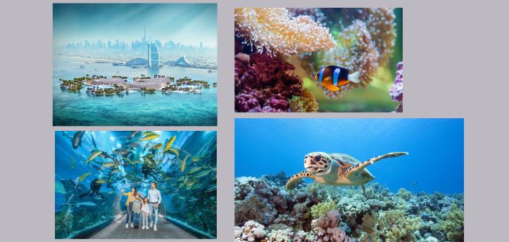 marine ecosystem in UAE
