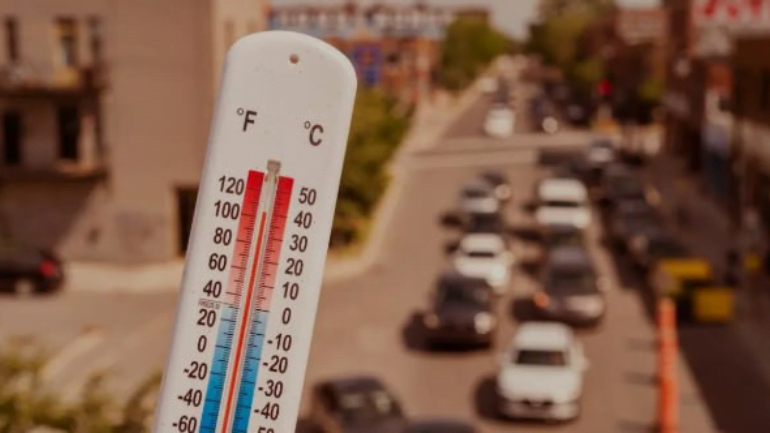 Average temperature in Sharjah