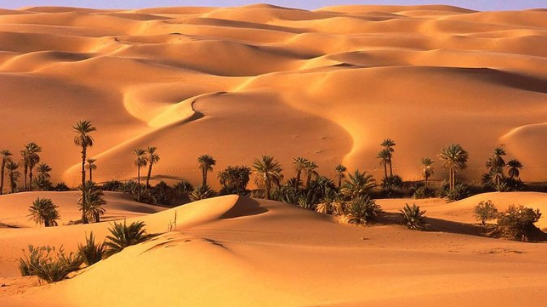 Dune in Liwa Desert