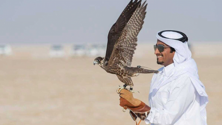 UAE Falconry tradition