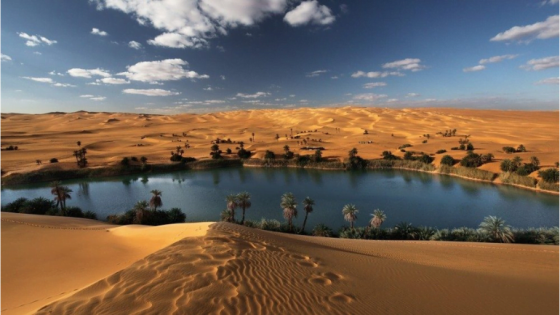 UAE Oasis Locations Al Ain oasis and Liwa oasis location