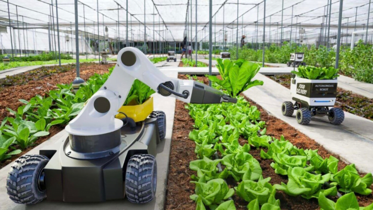Agriculture Innovation in UAE