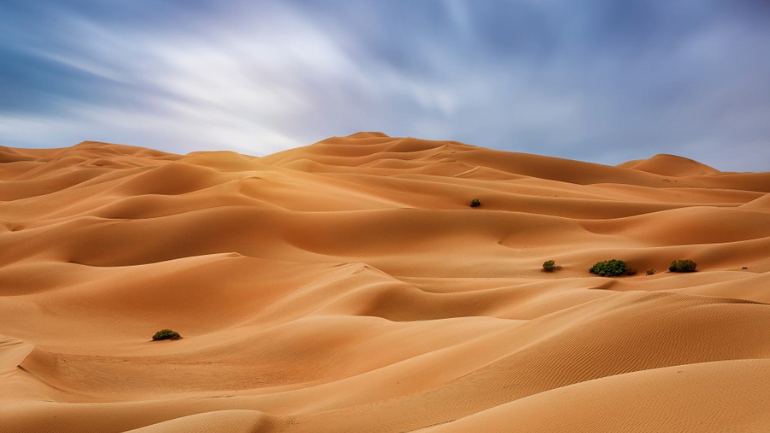 Liwa Desert Ecosystem