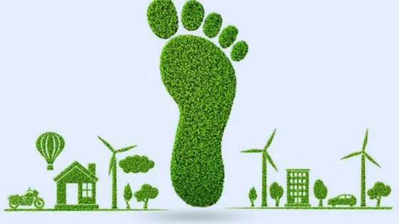 UAE carbon footprint; green foot