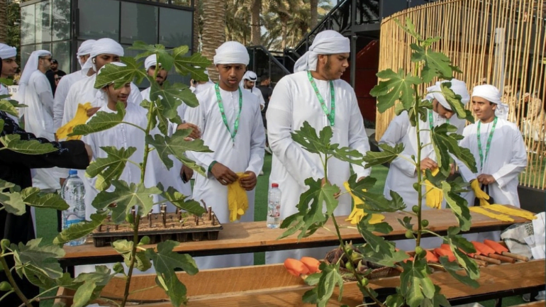 UAE Green Jobs Initiative