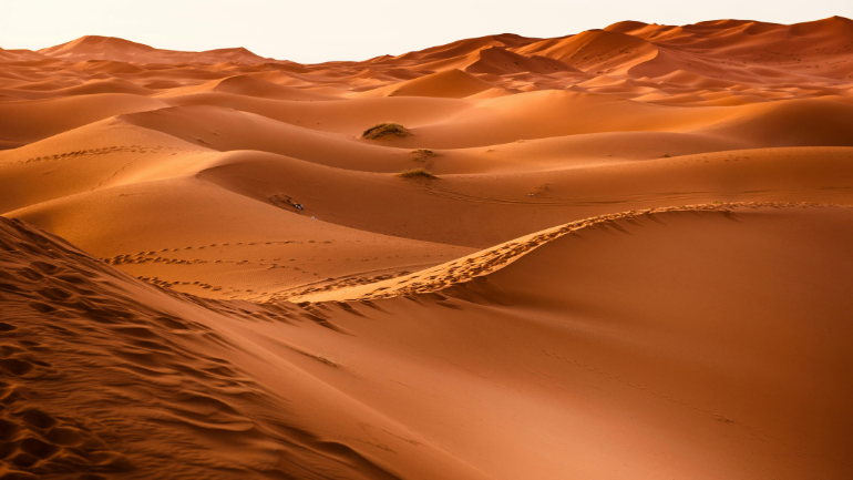 UAE Desert Cultural Landmarks