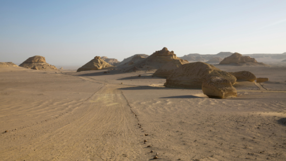 UAE Desert Landscapes and the Topography and Ecosystems