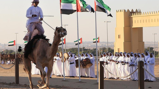 Camel Racing UAE at Dubai Royal Camel Race Club