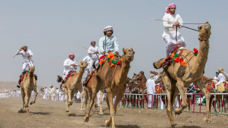 Camel Racing UAE in Dubai
