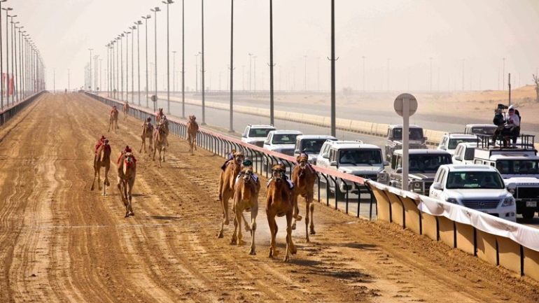 Camel Sports Major Camel Racing Tracks