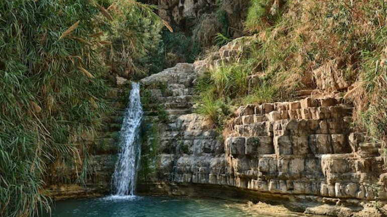 Ein Gedi Hot Springs in Palestine