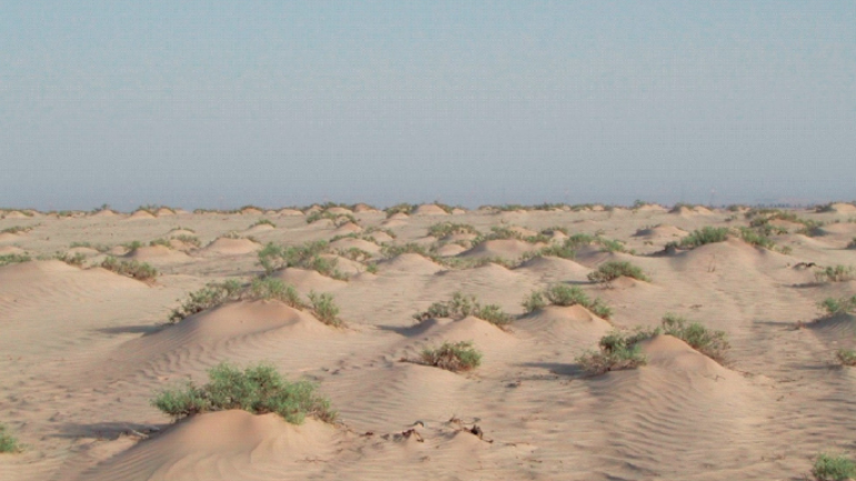 UAE Soil Conservation Practices Desertification Efforts