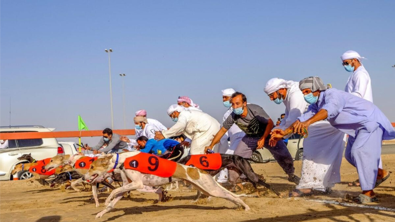 UAE Saluki Racing