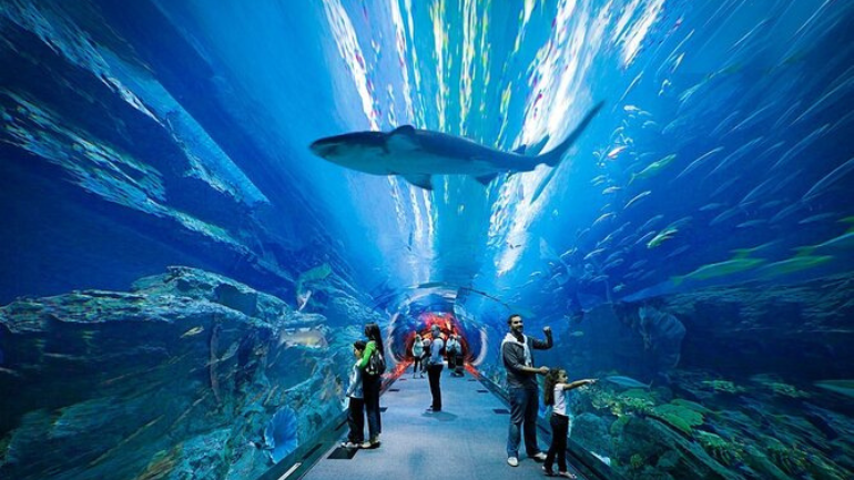 Dubai Aquarium and Underwater Zoo