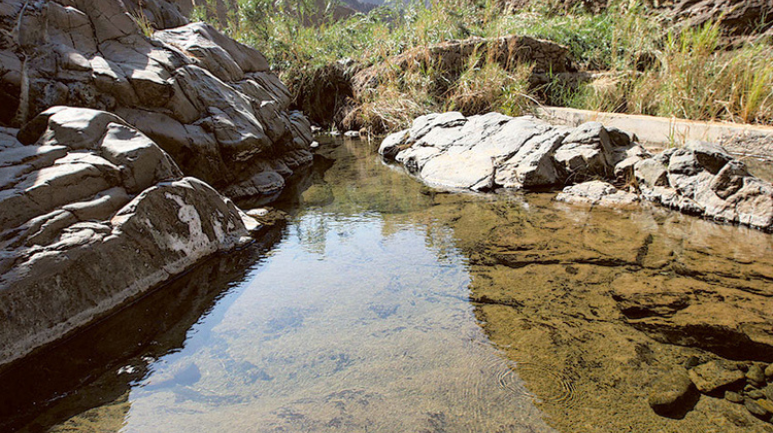 Wadi Al Wurayah Fujairah