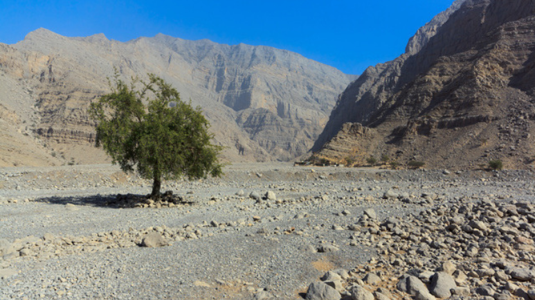 Wadi Ghalilah in Ras Al Khaimah