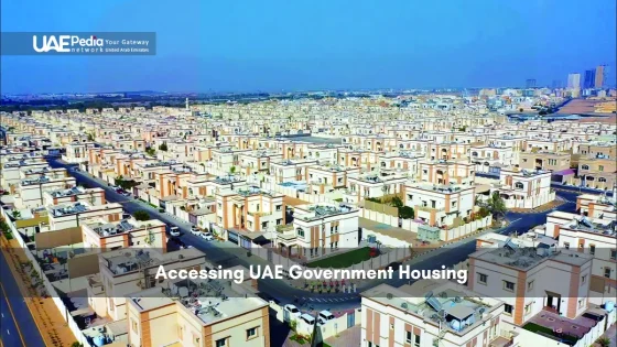Aerial view of a residential government housing project