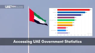 Combined image showing the Emirati flag on a pole next to a horizontal bar chart of UAE sector percentages