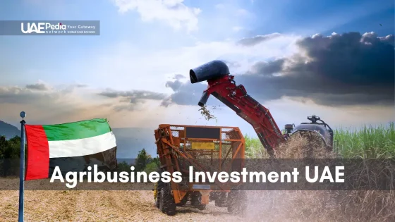 Agricultural machinery operating in UAE, emphasizing agribusiness investments.