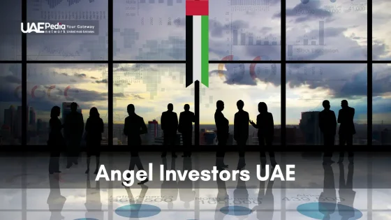 Professionals collaborating on angel investment opportunities in the UAE.