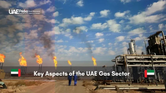 Gas flares at a UAE industrial gas processing facility