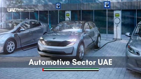 Electric vehicles UAE station showcasing growth in sustainable mobility.