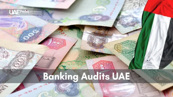 UAE currency and flag symbolizing banking audits and compliance.