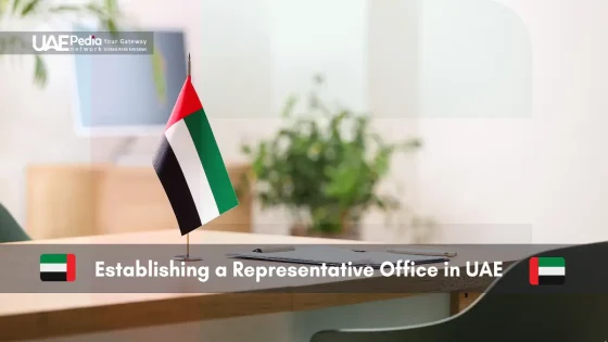 UAE flag on a desk in a modern office