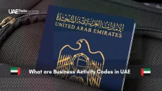 What are Business Activity Codes in UAE