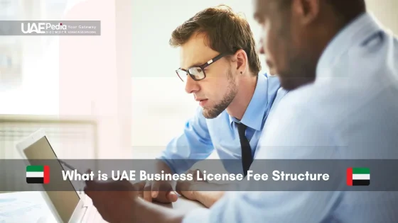 Two professionals discussing UAE business license fees