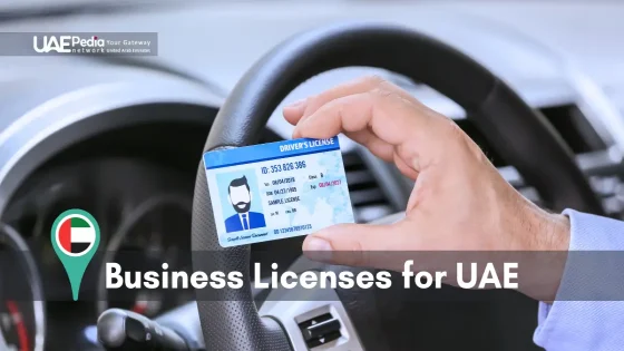 Driver's license held over a steering wheel, representing UAE business licensing.