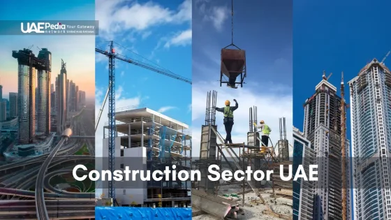 Ongoing construction and completed buildings highlighting UAE's growth.