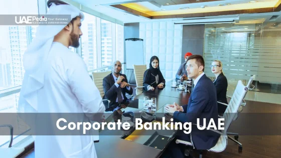 Corporate banking solutions and benefits for businesses in the UAE.