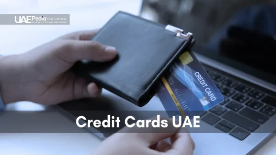 Top-rated credit cards with exclusive rewards for UAE residents.