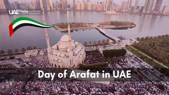 Bird's-eye view of mosque and congregation with UAE flag and city skyline backdrop.