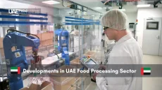 Technician monitoring advanced food processing machinery