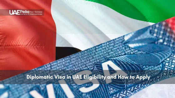 UAE flag with a close-up of a visa document