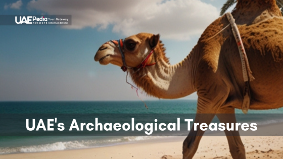 Discovering the UAE's Archaeological Treasures