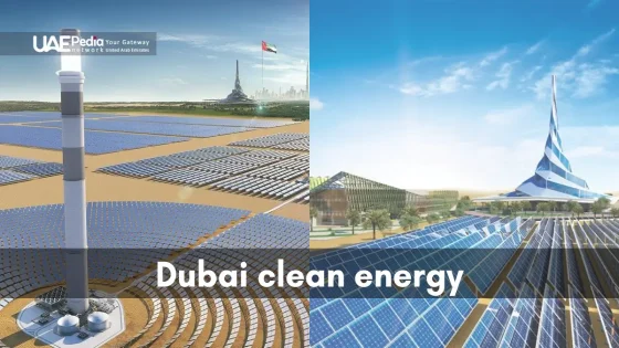 A large solar power farm in Dubai showcasing the city's renewable energy plans.