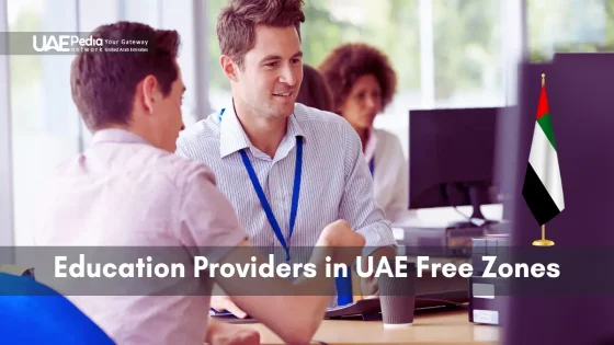 Group of professionals collaborating on education services in UAE free zones.