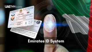 United Arab Emirates ID cards alongside a glowing fingerprint scan graphic and the national flag.