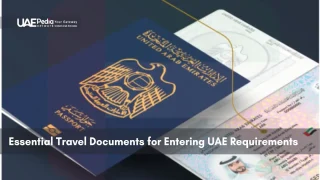 UAE passport and visa documents on a table