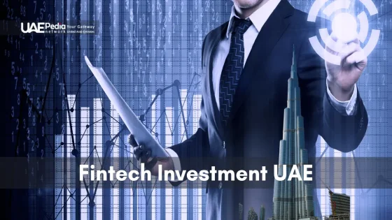 Business professional highlights UAE fintech investment potential with data visualizations.