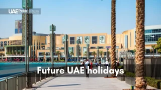 A vibrant UAE street with palm trees and modern architecture, ideal for future holidays.
