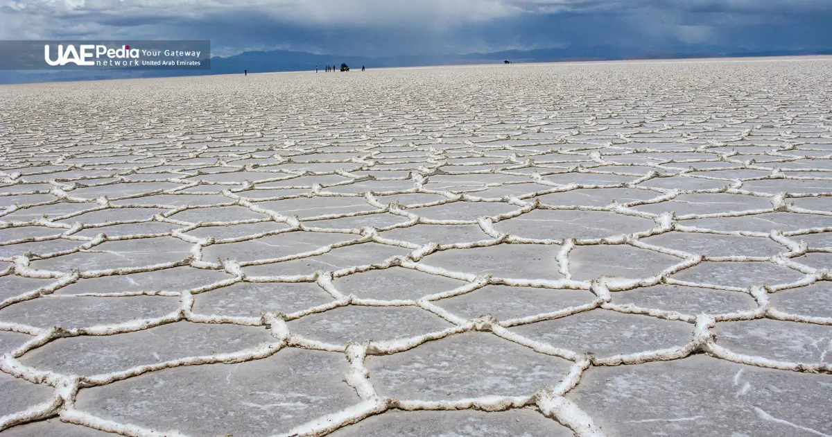 Expansive salt flats with a patterned crust, reflecting the UAE’s landscape.