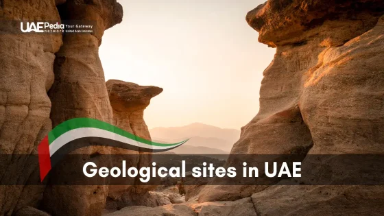 Unique rock formations in the UAE at sunset, highlighting geological history.